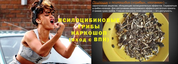 ешки Алексеевка