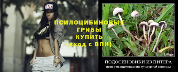 ешки Алексеевка
