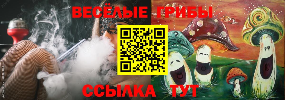 Псилоцибиновые грибы мицелий Мегион