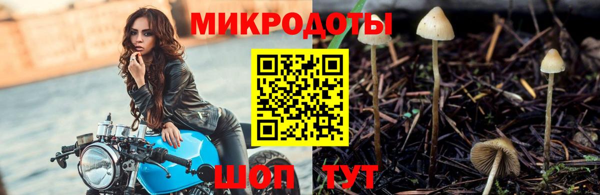 Псилоцибиновые грибы MAGIC MUSHROOMS  Вход с VPN  Псилоцибиновые грибы Psilocybine cubensis  Мегион 